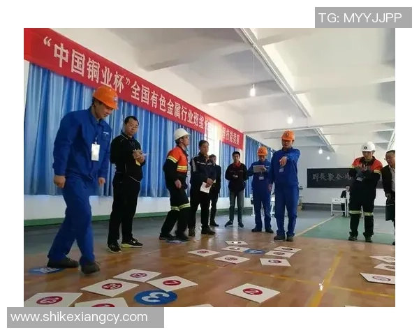 西安篮球队荣登灵活性排行榜第八位展现出色竞技水平与团队协作能力