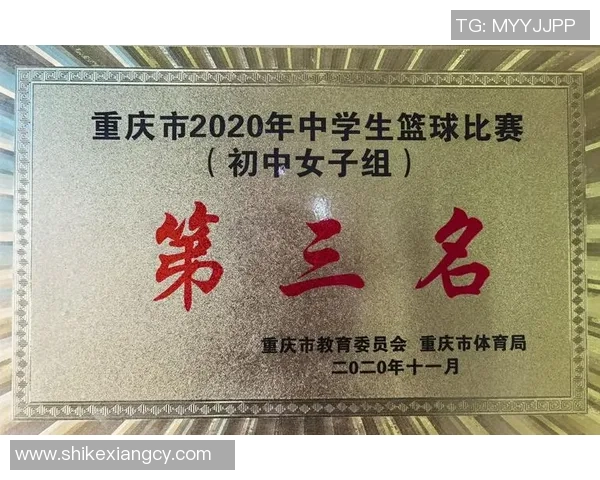 重庆篮球队个人能力分析与发展潜力研究